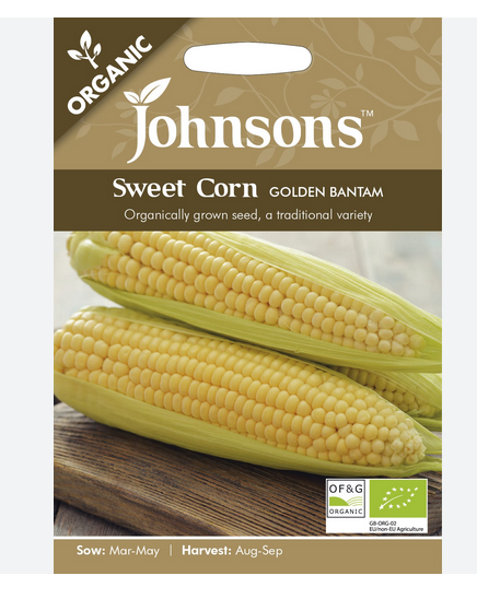 Organic Sweetcorn - Golden Bantam