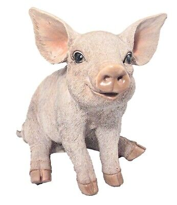 VA RL Piglet - Large