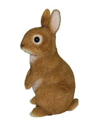 VA Baby Rabbit Standing