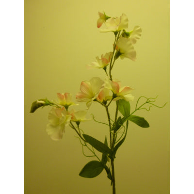 Sweet Pea Spray Pink 70cm