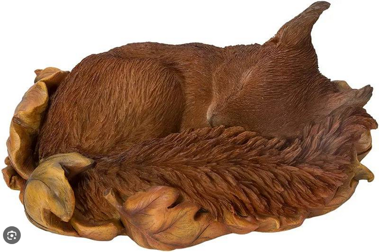 VA Sleeping Baby Red Squirrel