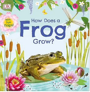 How Does a Frog Grow