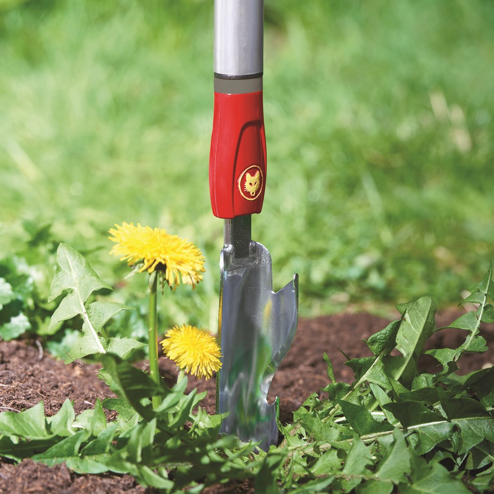 Metal Weed Extractor