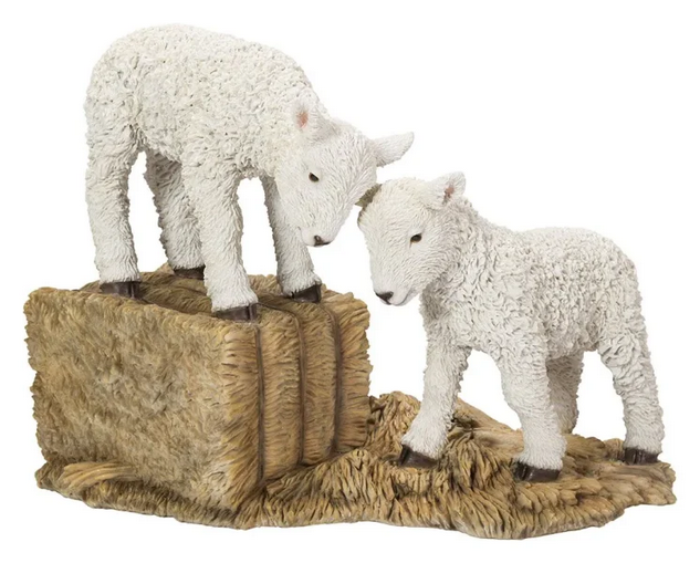 VA RL Playful Lambs
