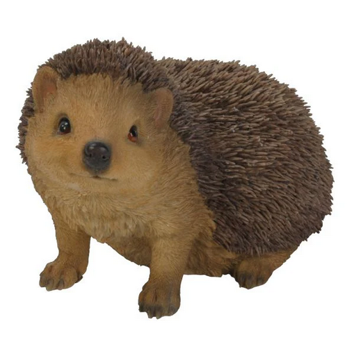 VA RL Hedgehog