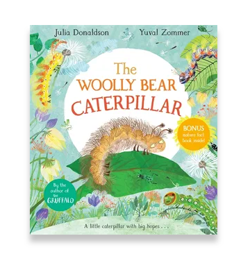 Woolly Bear Caterpillar