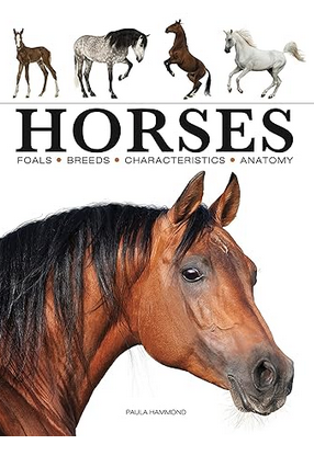 Horses