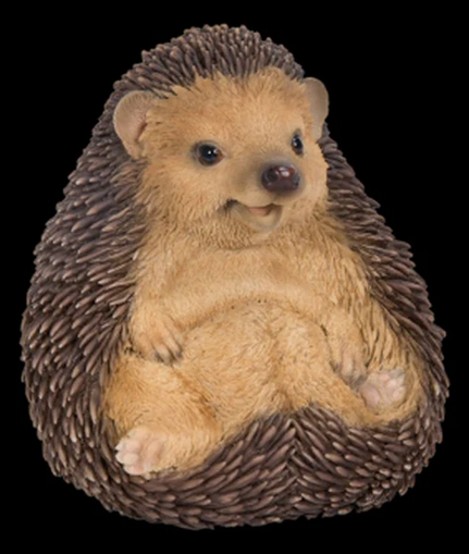 VA Sitting Baby Hedgehog