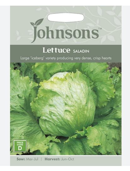 Lettuce - Saladin