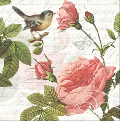 Paper Napkins - Sophie