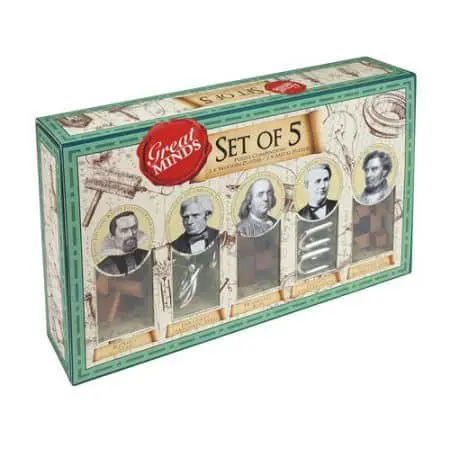 Metal & Wood Puzzles - Set of 5
