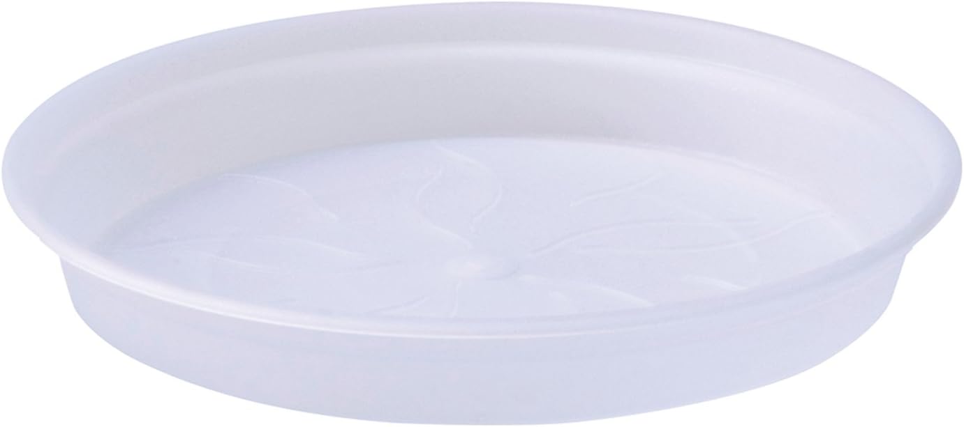 Green Basics Orchid Saucer 14Cm (Clear)