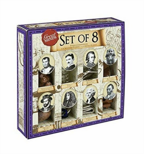 Metal & Wood Puzzles - Set of 8