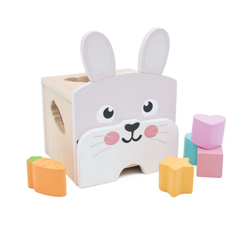 Bunny Shape Sorter