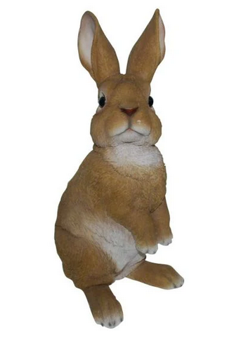 VA RL Lookout Rabbit