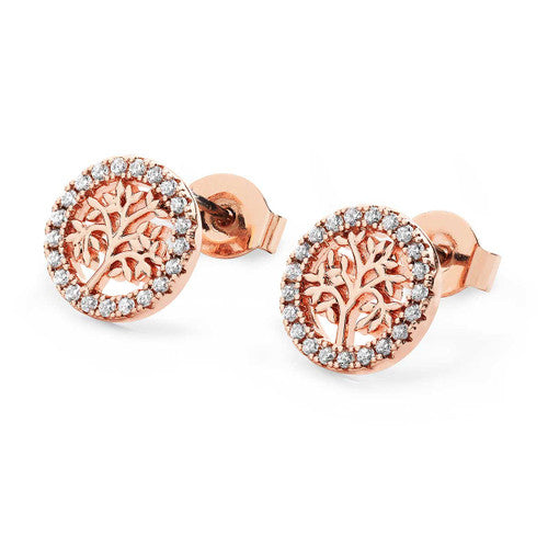 Rose Gold CZ Stud Earrings