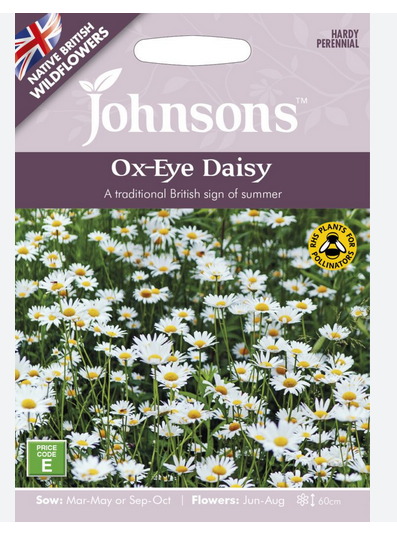 Wildflowers - Ox-Eye Daisy