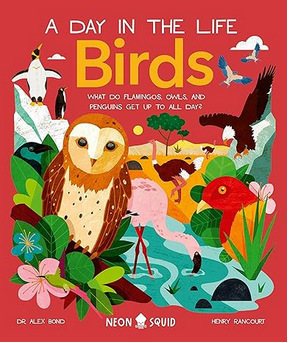 A Day in The Life - Birds