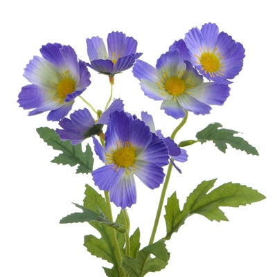 Cosmos Spray Lavender 42cm