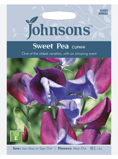 Sweet Pea - Cupani