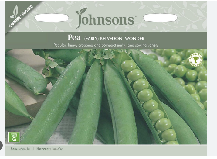 Pea - Kelvedon Wonder