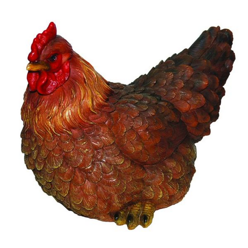 VA RL Laying Hen