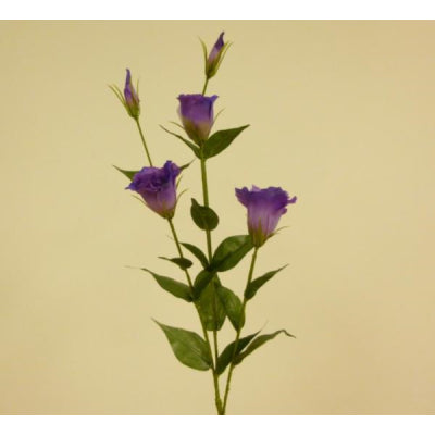 Eustoma Spray 84cm Purple
