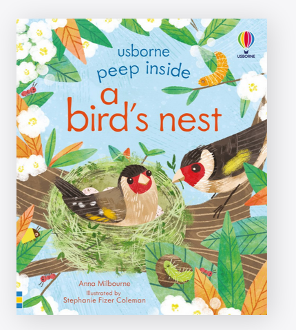 Peep Inside A Birds Nest