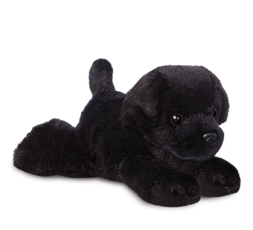 MF Blackie Black Labrador