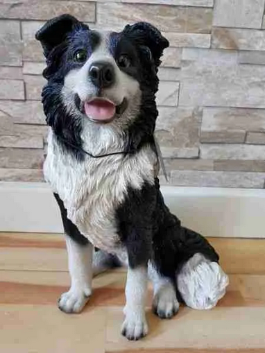 VA RL Sitting Sheepdog