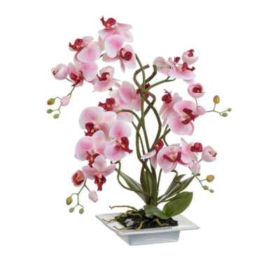 Orchid Square Pot Pink 57cm