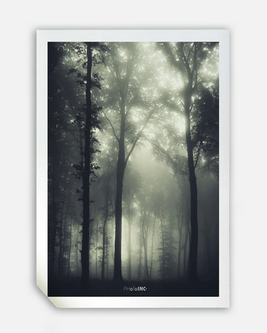 Daggry, 50cmx70cm wall art