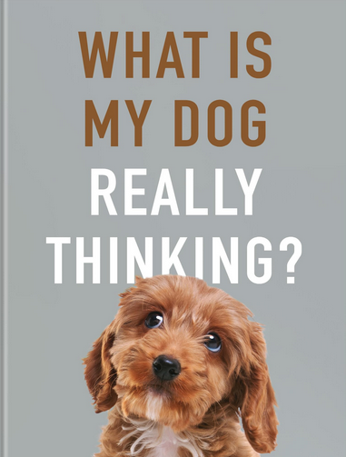 What Is My Dog Really Thinking