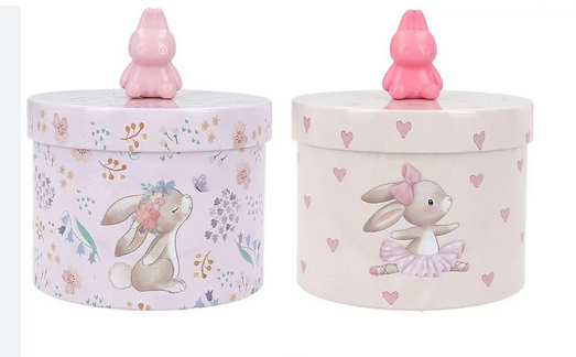 Princess Mimi Tin Box w/Bunny