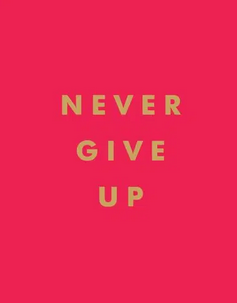 Never Give Up