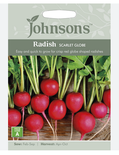 Radish - Scarlet Globe