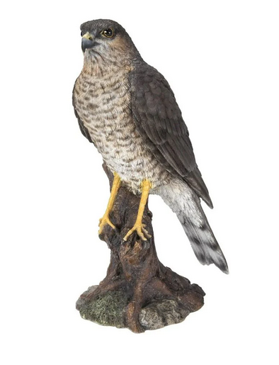 VA RL Sparrowhawk