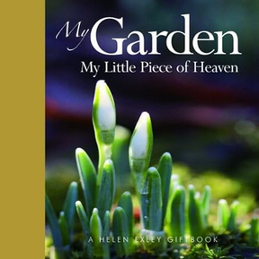 My Garden Piece of Heaven
