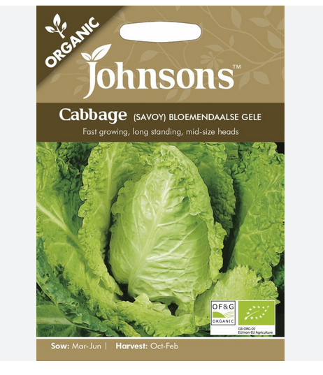 Organic Cabbage - Savoy Bloemendaalse