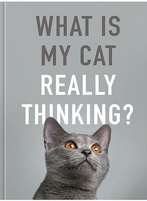 What Is My Cat Really Thinking