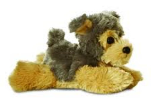MF Cute Yorkshire Terrier