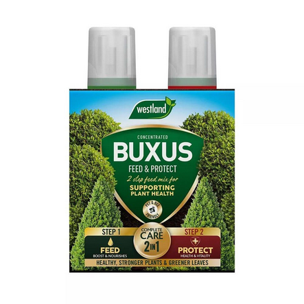 Buxus Feed & Protect 2-in-1