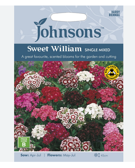 Sweet William - Single Mix