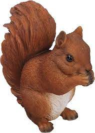 VA Red Squirrel Sitting B