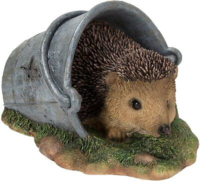 VA Hedgehog in Rusty Pail