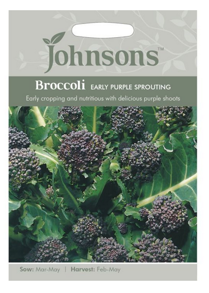 Broccoli - Early Purple Sprouting