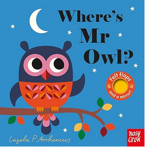 Wheres Mr Owl?