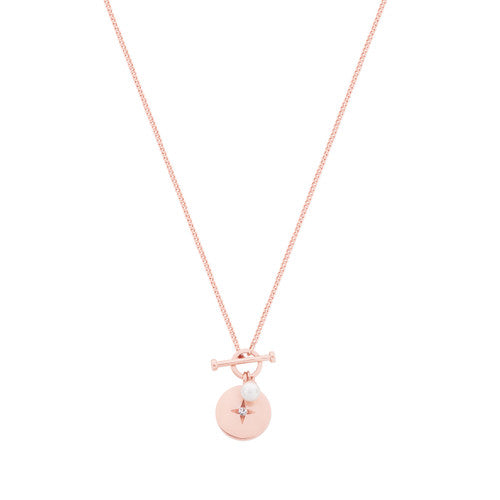 T-Bar Pendant RG Disc
