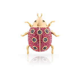Ladybird Brooch