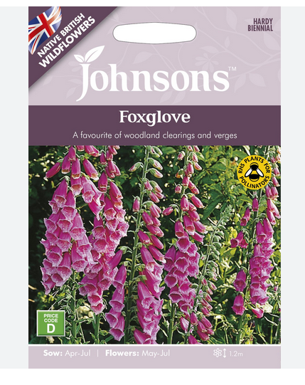 Wildflowers - Foxglove